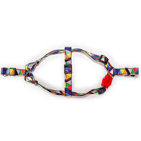 Peitoral Premium Ajustável Estampa Romero Britto